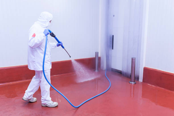 Best Rust Removal  in Macclenny, FL